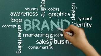 商標(biāo)注冊代理具體流程