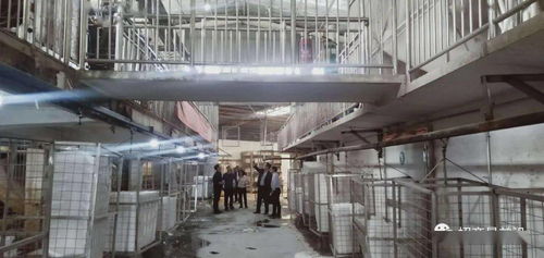 綠色包裝與節(jié)能保溫材料項(xiàng)目成功簽約，金屬裝飾材料零售市場(chǎng)迎新機(jī)